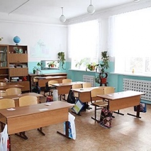 Сельскую школу возле Ачинска оштрафовали за мышей, мух и птиц на чердаке