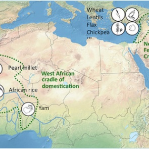 Названо новое место зарождения человеческой цивилизации