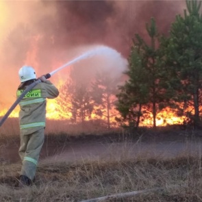 Пожарные показали страшные кадры горящего под Минусинском леса и поблагодарили добровольцев