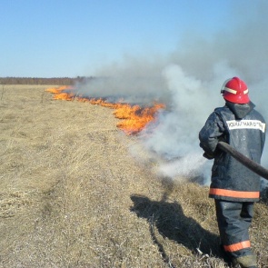 Добровольцы помогли пожарным спасти от огня поселок в Красноярском крае