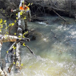 В Красноярском крае пропал мужчина. Волонтеры прочесывают лес и ручьи