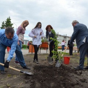 Озеленение ачинского сквера «Металлургов» продолжается