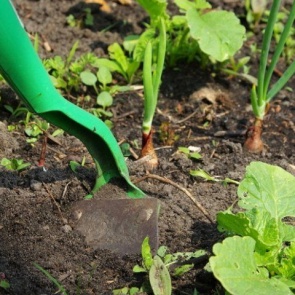 Как избавиться от сорняков – секреты "чистых" грядок