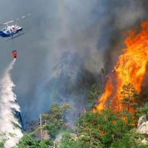Штрафовать будут по-новому: в МЧС рассказали о наказании для любителей шашлыков