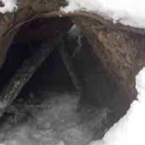 Российские СМИ сообщили о тувинце, который месяц якобы жил в берлоге с медведем