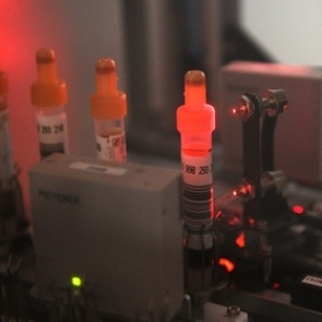 В России стало больше регионов с эпидемией ВИЧ