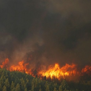 Лесные пожары в Красноярском крае не тушат из соображений безопасности
