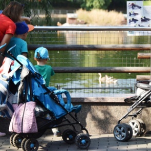 Программу маткапитала задумали сделать бессрочной