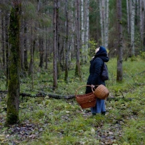 Этим летом в лесах России пропало рекордное количество людей. Поисковики бьют тревогу