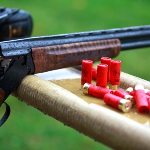 Стражи порядка проверят владельцев оружия в рамках профилактического мероприятия «Арсенал»