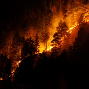 В Совфеде предложили пересмотреть принцип тушения лесных пожаров