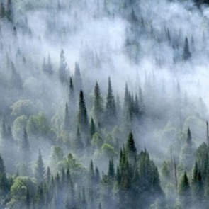 Помогать тушить пожары в Красноярском крае будут 10 военных вертолетов