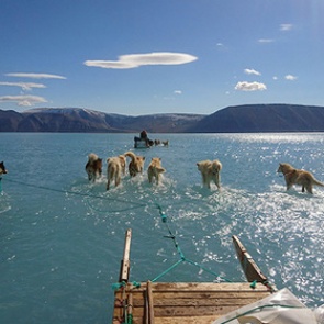 В Гренландии зафиксировали катастрофическое таяние льда
