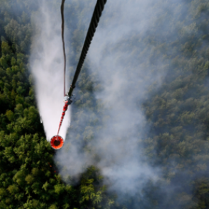 «Ситуация будет усугубляться»: проблема лесных пожаров в Красноярском крае в следующие годы может стать острее