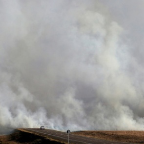 Экологи уличили чиновников в занижении данных о пожарах в Сибири