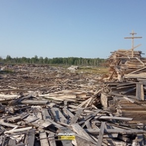 Сотрудники лесопилки соорудили могилу гибнущим лесам Сибири