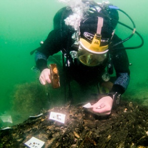 Найдены продвинутые технологии из каменного века
