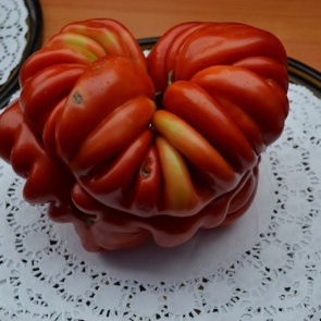 Житель Минусинска вырастил гигантский помидор и выиграл «Ниву»