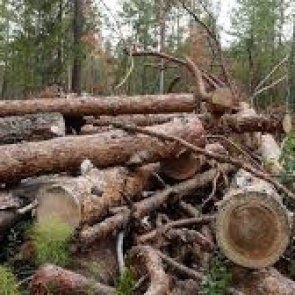 Зеленогорская пенсионерка хотела получить проценты со своих накоплений и отдала мошенникам 2 миллиона