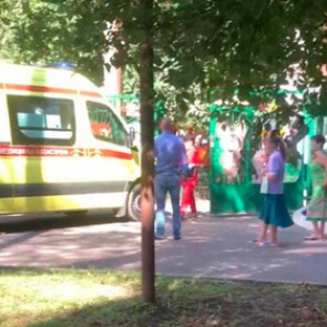 Ребенок умер после падения дерева в российском детском саду