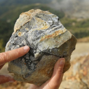 Найдены неизвестные науке существа