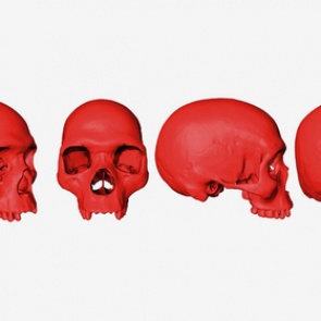 Раскрыта тайна появления человека