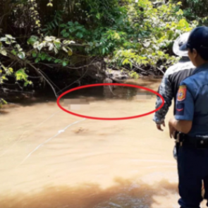 Гигантский крокодил заживо съел молодого рыбака