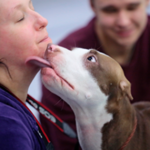 Названа неожиданная опасность парацетамола