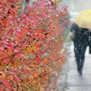 Рабочая неделя начнется с летней погоды, но к выходным похолодает