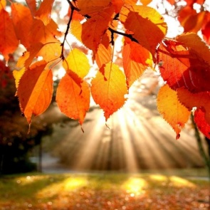 Красноярцев ждет очень теплая рабочая неделя