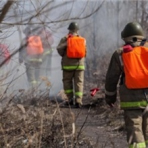 Жители Красноярского края снова начали поджигать сухую траву