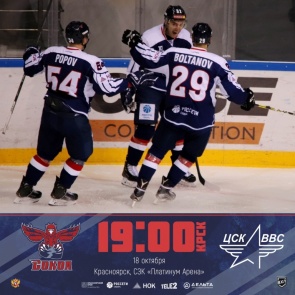Болельщиков приглашают на заключительный матч «Сокола» в домашней серии