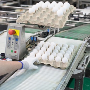 Россияне объелись яйцами