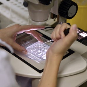 Названы продукты для сохранения мужского здоровья