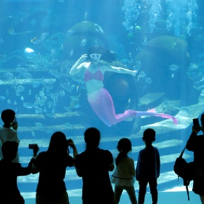 Еще одна страна решила заманить россиян системой «все включено»