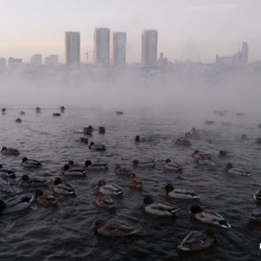 Синоптики дали прогноз на месяц: в середине ноября в Красноярске похолодает до –20