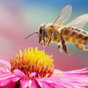 Пересмотрен ход эволюции в истории Земли