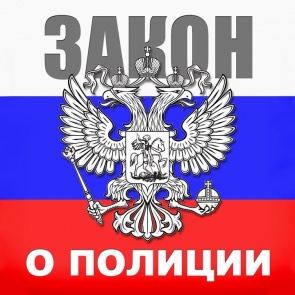 Красноярские депутаты намерены изменить федеральный закон о полиции