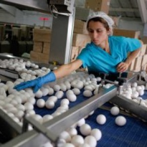 Исследование: появляется все больше инфекций, устойчивых к антибиотикам