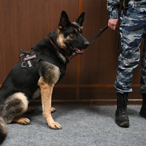 Неизвестные сообщили о бомбах в колледжах и вузах силовых ведомств МосквыНеизвестные сообщили о бомбах в учебных заведениях силовых ведомств в столице. Об этом в четверг, 21 ноября, сообщает «Интерфак