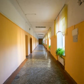 «С малых лет приучают к наркомании»: депутаты потребовали запретить в школах табак снюс