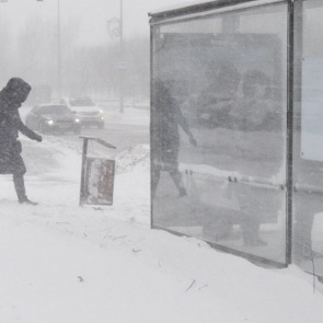 Спасатели предупредили о крепком ветре в последнюю пятницу осени