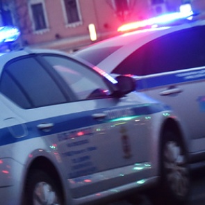 Россиянин вырезал спящую многодетную семью