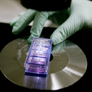 Найдено средство против неизбежной гибели мозга