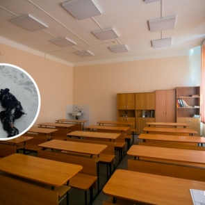 Красноярские депутаты просят Госдуму запретить свободную продажу снюса