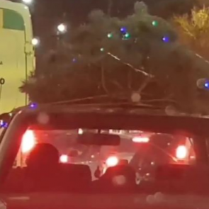 Красноярец возит по городу на крыше елку, украшенную иллюминацией