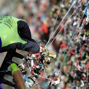 По жвачке из смолы восстановили портрет древнего подростка