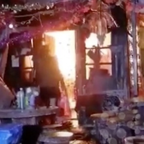 Женщина рискнула жизнью ради спасения пуделей из огня