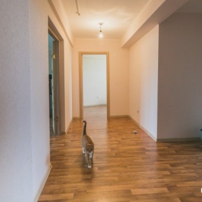 С января этого года обманутые покупатели жилья будут получать компенсацию. Как всё оформить