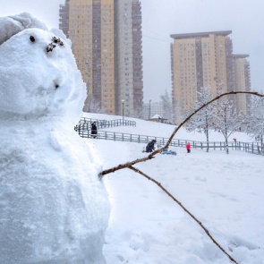 Красноярский край попал в зону аномального тепла